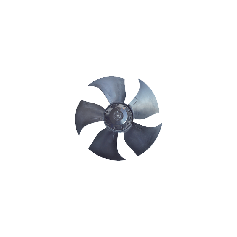 295-5